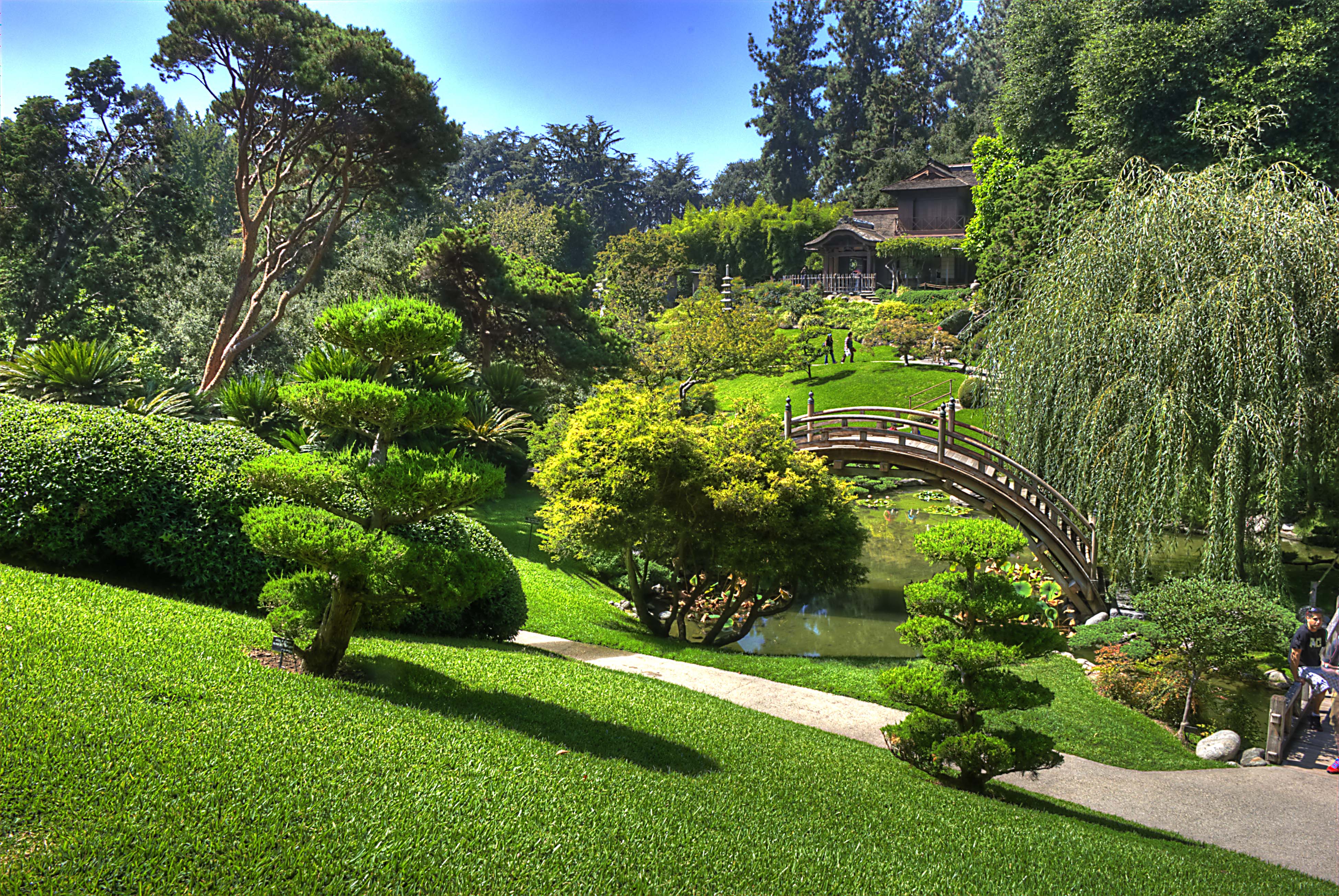 A Love Of Japanese Gardens Confero Dezso