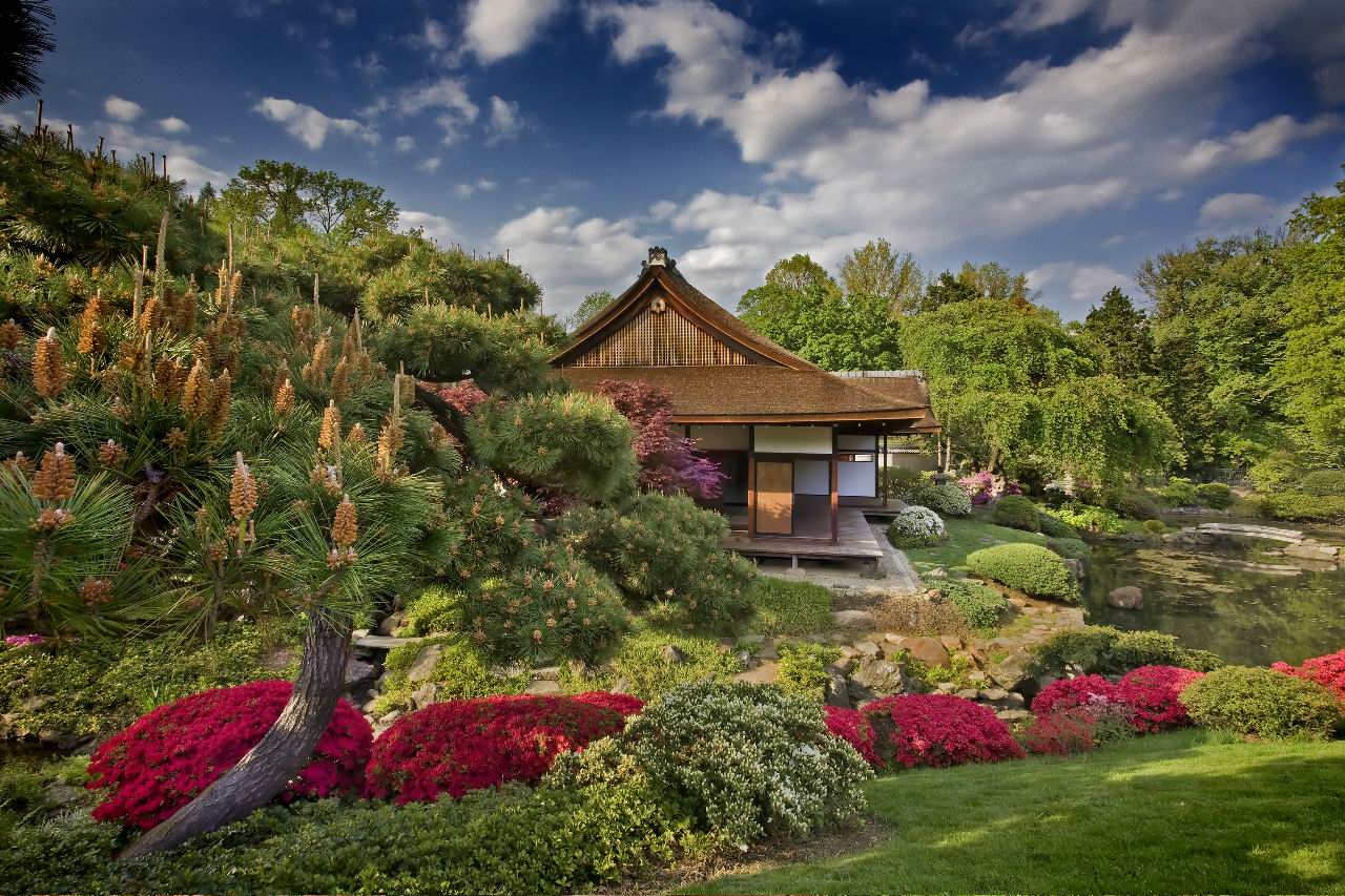 A Love of Japanese Gardens  Confero Dezso